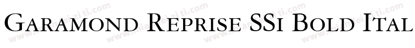Garamond Reprise SSi Bold Italic字体转换